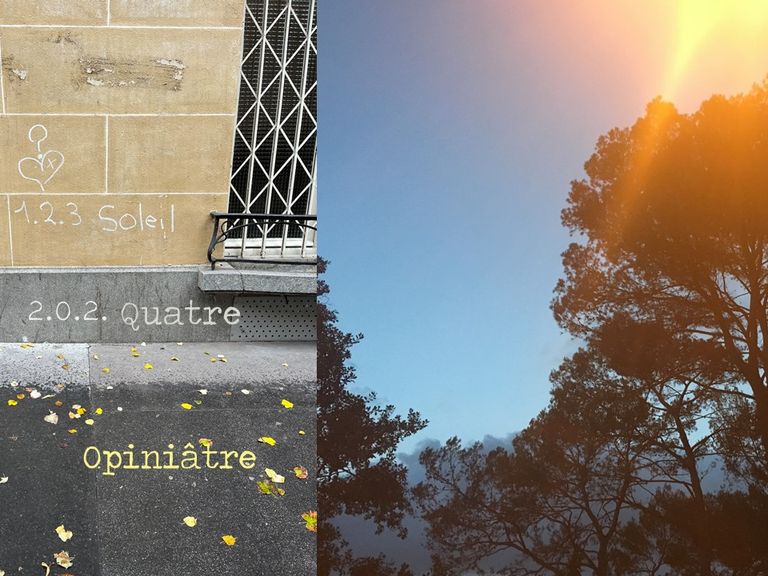 Bruno Latour - Fondation Cini, 13.09.17 - I Dialoghi Di San Giogio, What's the Body of the Body Politic ?