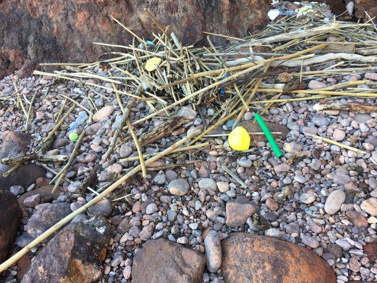 Bruno Latour - Fondation Cini, 13.09.17 - I Dialoghi Di San Giogio, What's the Body of the Body Politic ?